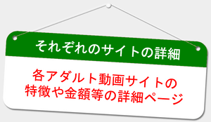 それぞれの優良アダルト動画サイトの詳細(各種有料アダルト動画サイトの特徴や金額、メリットやデメリット、評価などの詳細説明ページ)